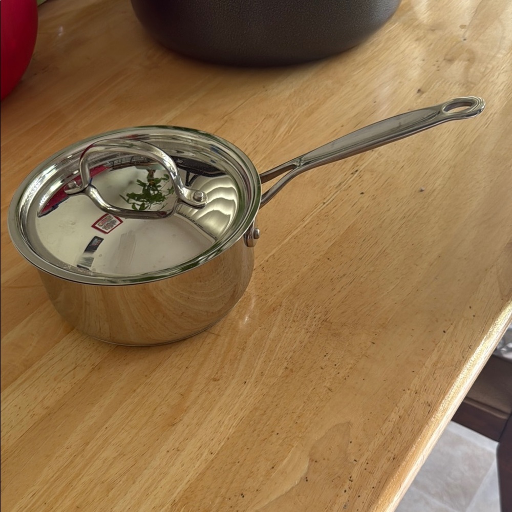 Stainless Steel Saucepan with Lid
